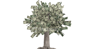 Inflow of $2.90m recorded in local stocks